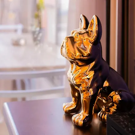 Cap D'agde A 50m Du Port Avec Piscine דירה *